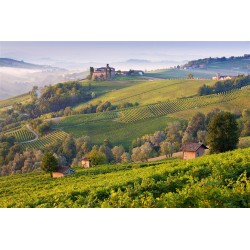 Découverte des vignobles Italiens en 3 Jours