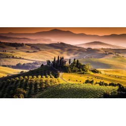 Découverte des vignobles Italiens en 3 Jours